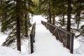 Narrow Bridge along a Footpath Through a Snowy Forest Royalty Free Stock Photo