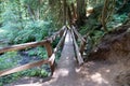 Narrow bridge on the trail to Marymere Falls waterfall in Olympic National Park Royalty Free Stock Photo