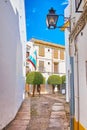 The narrow Calle Albucasis and trimmed trees in Juda Levi Square, Cordoba, Spain Royalty Free Stock Photo