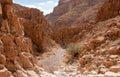 Narrow canyon of a dry wadi in Judaean Desert, Israel.