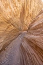 Narrow canyons of Utah`s Little Wild Horse Canyon