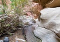 Narrow channel for stream in the gorge Wadi Al Ghuwayr or An Nakhil and the wadi Al Dathneh near Amman in Jordan