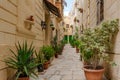 Narrow charming street in Birgu, Malta, with medieval buildings and potted plants