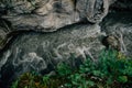 Narrow cleft in rocks, gorge, mountain river, top view