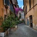 Pretty little alley in Rome Ghetto