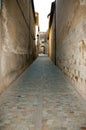 Narrow Cobble Street Royalty Free Stock Photo