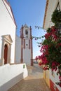 A narrow cobbled alley with colorful flowers leading to the Cathedral Se of Silves, Algarve