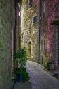 Narrow cobbled street with flowers in the old village Tourrettes-sur-Loup at night, France. Royalty Free Stock Photo