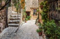 Narrow cobbled street with flowers in the old village Tourrettes-sur-Loup , France. Royalty Free Stock Photo