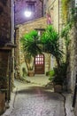 Narrow cobbled street with flowers in the old village Tourrettes-sur-Loup at night, France. Royalty Free Stock Photo