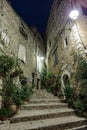 Narrow cobbled street with flowers in the old village Tourrettes-sur-Loup at night, France. Royalty Free Stock Photo