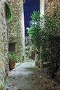 Narrow cobbled street with flowers in the old village Tourrettes-sur-Loup at night, France. Royalty Free Stock Photo