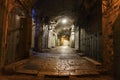 Narrow cobbled street in old medieval town with illuminated houses and pavement. Night shot of side passage in some ancient castle