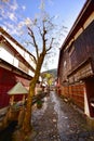 Narrow and cobblestoned Yanaka Lane with a canal along it in Gujo, Japan