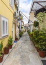 Narrow colorful street with flowers in pots in the city of Porto, Portugal Royalty Free Stock Photo