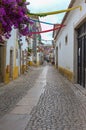 Narrow Colorful Street in the Medieval Portuguese City of Obidos