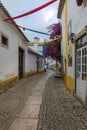 Narrow Colorful Street in the Medieval Portuguese City of Obidos