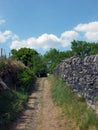 Narrow country lane running up a hill surrounded by stone walls and fences with grass and ferns