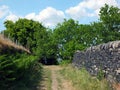 narrow country lane running up a hill surrounded by stone walls and fences with grass and ferns