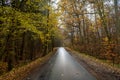 Narrow country road through the autumn forest with colorful leaves and a wet, muddy asphalt surface, danger of slipping when