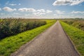 Narrow country road in a Dutch polder landscape Royalty Free Stock Photo