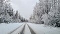 Narrow country road going into the distance among snow-covered forest Royalty Free Stock Photo