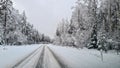 Narrow country road going into the distance among snow-covered forest Royalty Free Stock Photo