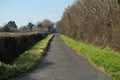 Narrow country road in Ireland Royalty Free Stock Photo