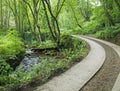 Narrow country road running uphill in green summer woodland next to a stream surrounded by vegetation Royalty Free Stock Photo