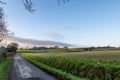 A Rural Sussex View