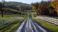 A narrow country road winds through fields and pastures, with majestic trees and white fences along the sides in Midwest