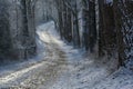 Narrow curvy country road from cobblestone in winter covered with ice and snow between dark tree trunks idyllic landscape but
