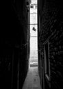 Narrow dark streets of Venice. Black and white. Boots hanging on the rope