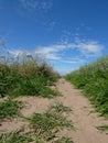 A narrow dirt path winds through a vibrant countryside under a bright blue sky scattered with soft white clouds. Royalty Free Stock Photo