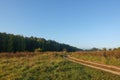 A narrow dirt road runs near the forest. Autumn sunny day