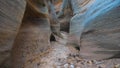 Camera Movement Along Dry River Gorge High Smooth And Wavy Rocks Of Canyon