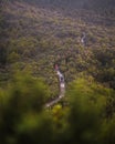 Narrow footpath through canyon forest with tourists exploiting the mountains