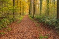 Narrow forest path at the beginning of autumn Royalty Free Stock Photo