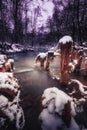 a narrow forest river with flowing water between snags and stumps with a long exposure at evening twilight. vertical winter