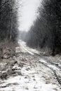 Narrow gauge railroad (dolly way) in logging