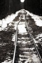 Narrow gauge railroad (dolly way) in logging