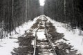 Narrow gauge railroad (dolly way) in logging