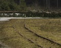Narrow gauge in spring cloudy day in Grube Tannenberg in Krusne mountains Royalty Free Stock Photo