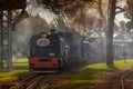 A narrow gauge steam locomotive getting ready for a trip for visitors to Sandstone Estates.