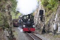 Narrow Gauge Steam Railway