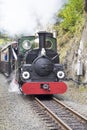 Narrow Gauge Steam Railway