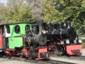 Narrow Gauge Steam Railway Train