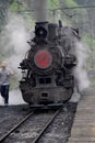 Narrow-gauge Steam Train