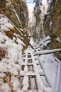 Narrow gorge in Sucha Bela gorge in Slovak Paradise during winter