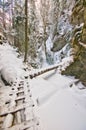 Narrow gorge in Sucha Bela gorge in Slovak Paradise during winter